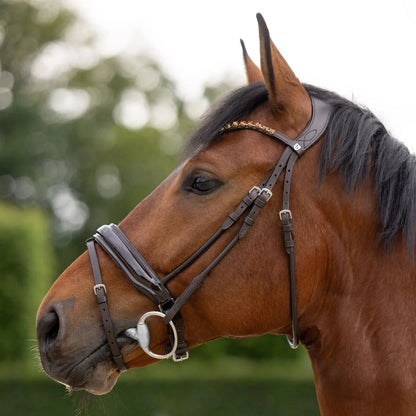 Cabezada Anatómica Clermont