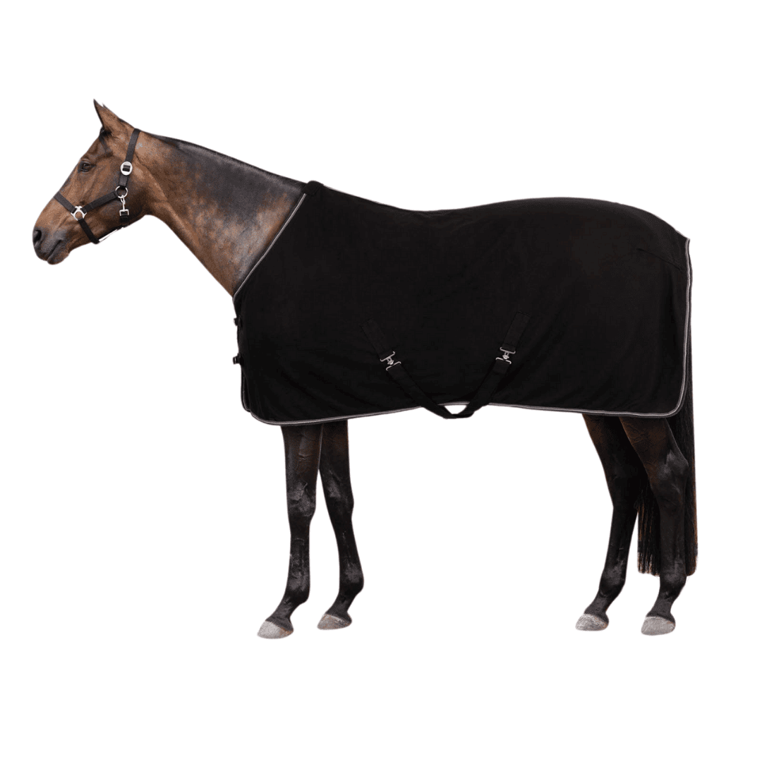 Manta caballo polar Sandoval Equestrian, Manta polar para caballo Horze Kiel
Manta de secado rápido para caballo
Manta cálida para caballo en invierno
Manta de equitación con cierre doble
Manta de caballo con cinchuelos cruzados
Manta para caballo con correa para la cola
Manta de polar para mantener caliente al caballo
Manta para caballo de colores de temporada
Manta de equitación con ribete tejido
Manta Horze con logo pequeño para caballo